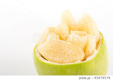 ユズ 柚 文旦 43079579