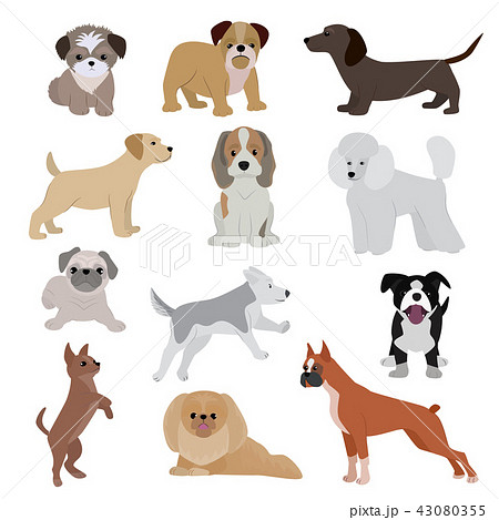 Dog vector cute cartoon puppy illustration home pets doggy different breed and poses bulldog, hand 43080355