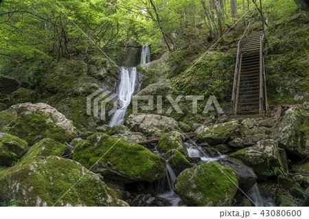 奥多摩　三ツ釜の滝 43080600
