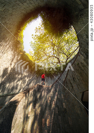 A Man looking at Fort Canning Park, tourist attraction. Nature T 43080935