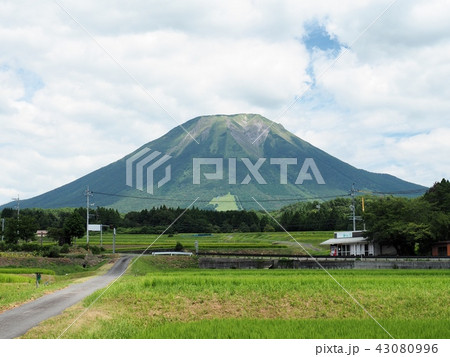 西方より望む夏の大山 43080996