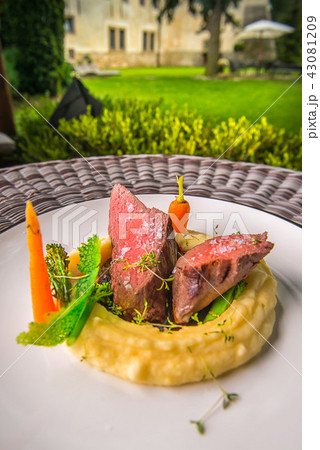 delicious venison steak with potatoes mash 43081209