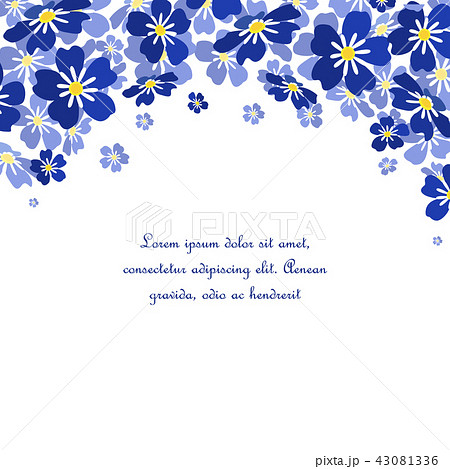 Vector blue forget me not flowers Vector blue forget me not flowers 43081336