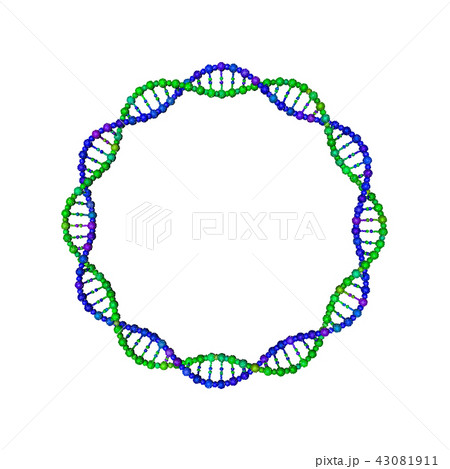 Dna Strand In Form Of Circle Vector Illustration のイラスト素材