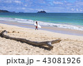 ハワイ(hawaii)ビーチ・03 43081926