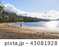 ハワイ(hawaii)ビーチ・05 43081928