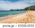 ハワイ(hawaii)ビーチ・06 43081930
