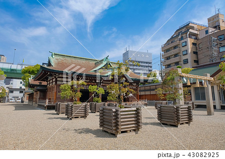 今宮戎神社 今宮戎神社 43082925
