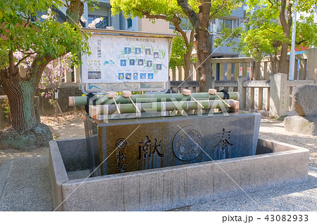 今宮戎神社 手水舎 43082933