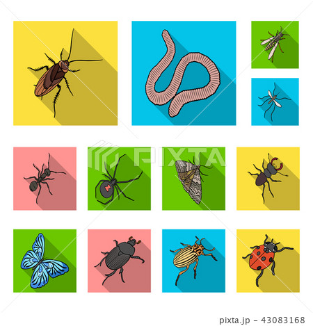 Different kinds of insects flat icons in set collection for design. Insect arthropod vector 43083168