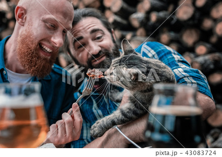 Two funny men giving some piece of meat cute little cat Two funny men giving some piece of meat cute little cat 43083724