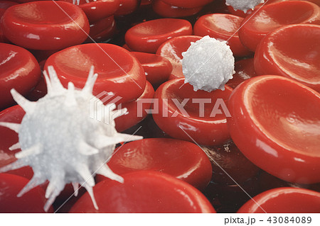 Red blood cells, leukocyte or white blood cells, are the cells of the immune system, infection Red blood cells, leukocyte or white blood cells, are the cells of the immune system, infection 43084089