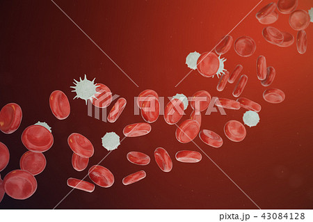 Red and white blood cells releasing neutrophils, eosinophils, basophils, lymphocytes, are the cells 43084128