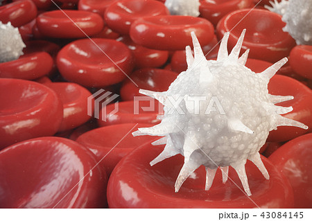 Red blood cells, leukocyte or white blood cells, are the cells of the immune system, infection Red blood cells, leukocyte or white blood cells, are the cells of the immune system, infection 43084145