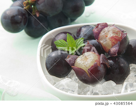 巨峰 巨峰 43085564