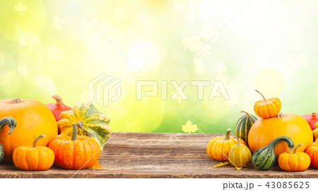 pumpkin on table 43085625