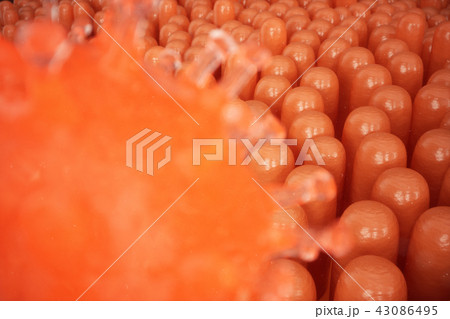 3D illustration Intestinal villi. Intestine lining. Microscopic capillary. Human intestine. Concept 43086495