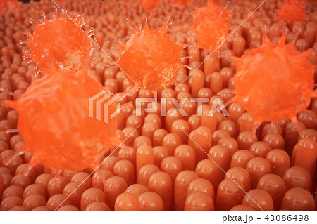 3D illustration Intestinal villi. Intestine lining. Microscopic capillary. Human intestine. Concept 43086498