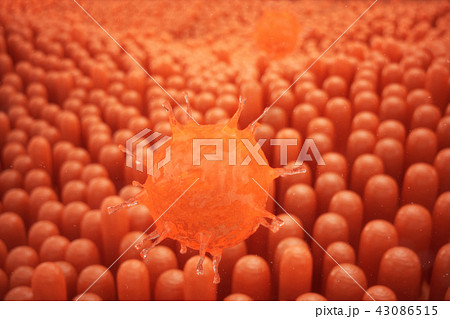 3d illustration Intestinal villi. Intestine lining. Microscopic villi and capillary. Human intestine 43086515