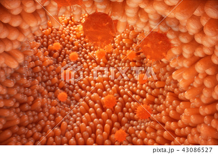 3D illustration Intestinal villi. Intestine lining. Microscopic capillary. Human intestine. Concept 43086527