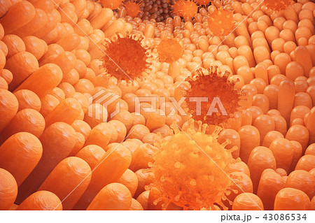 3D illustration Intestinal villi. Intestine lining. Microscopic capillary. Human intestine. Concept 43086534