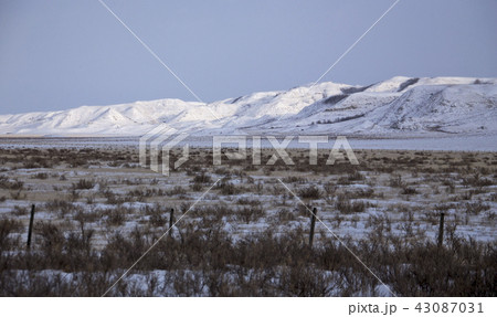 Winter Scene Saskatchewan Badlands 43087031