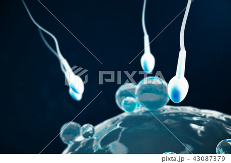 Sperm and egg cell, ovum. Native and natural fertilization - close-up view. Conception the beginning 43087379