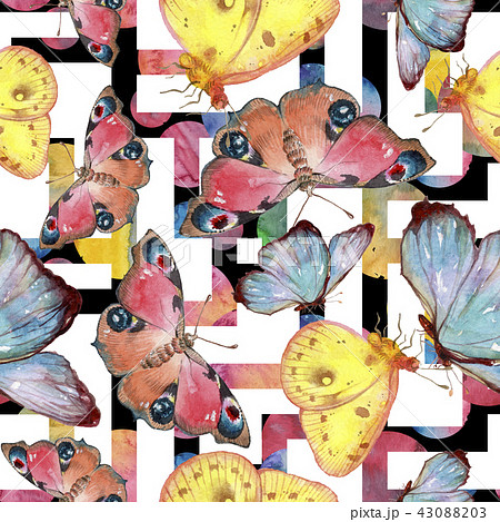 Exotic butterflies wild insect in a watercolor style. Seamless background pattern. 43088203
