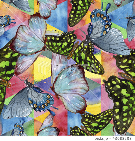 Exotic butterflies wild insect in a watercolor style. Seamless background pattern. 43088208