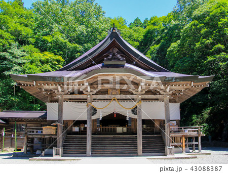 戸隠神社中社 43088387