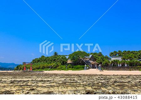 青島神社　青島神社と鬼の洗濯板　【宮崎県宮崎市】 43088415