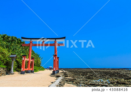 青島神社　青島神社と鬼の洗濯板　【宮崎県宮崎市】 43088416