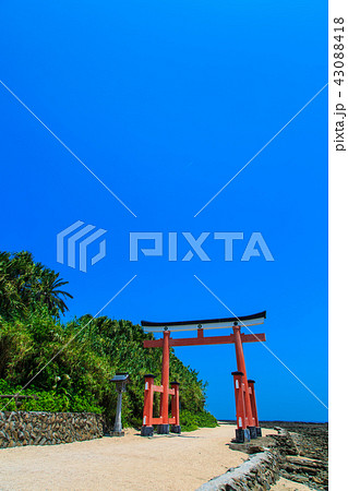 青島神社 青島神社と鬼の洗濯板 【宮崎県宮崎市】 青島神社 青島神社と鬼の洗濯板 【宮崎県宮崎市】 43088418
