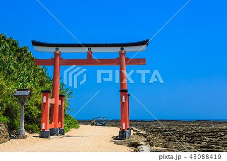 青島神社 青島神社と鬼の洗濯板 【宮崎県宮崎市】 青島神社 青島神社と鬼の洗濯板 【宮崎県宮崎市】 43088419