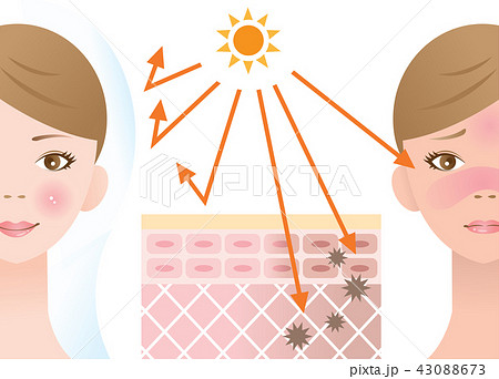 紫外線対策 女性のイラスト素材