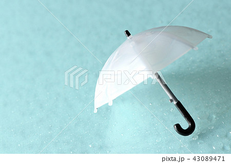 冷たい雨 43089471