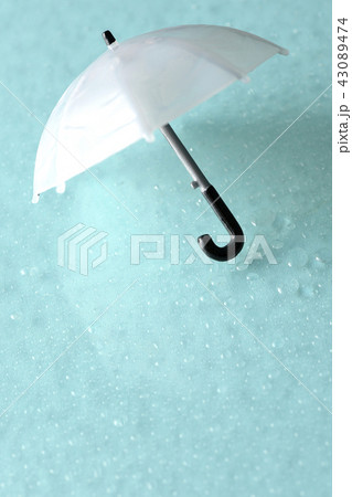 冷たい雨 43089474