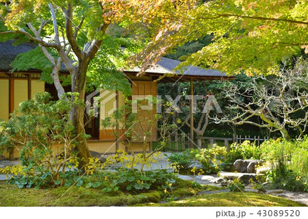 日本庭園の茶室 43089520