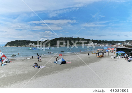 逗子海岸　海水浴場 43089801