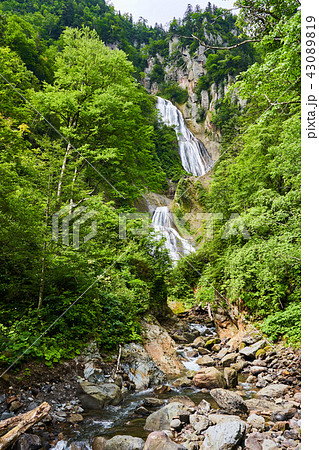 天人峡 羽衣の滝 天人峡 羽衣の滝 43089819