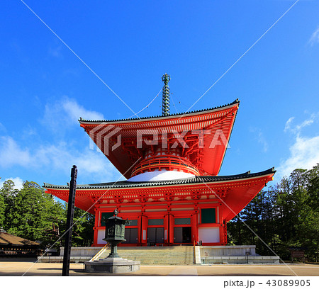 高野山　金剛峰寺の根本大塔 43089905