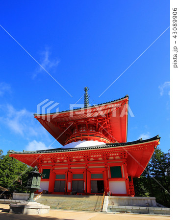 高野山　金剛峰寺の根本大塔 43089906
