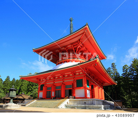 高野山　金剛峰寺の根本大塔 43089907