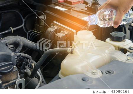 women filling water to car radiator.  43090162