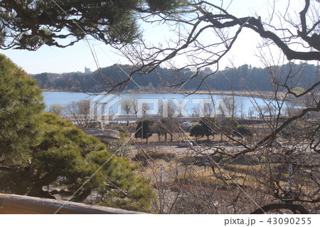 偕楽園　風景 43090255