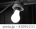 古ぼけた電球 43091231