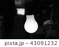 点灯している電球 43091232