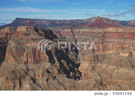 Wildlife in Grand Canyon in USA 43091549