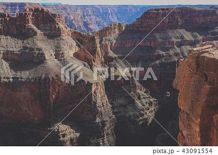 Wildlife in Grand Canyon in USA Wildlife in Grand Canyon in USA 43091554