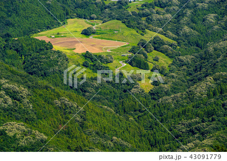 夏の峠の緑と牧草地 美の山山頂からの眺望 b 夏の峠の緑と牧草地 美の山山頂からの眺望 b 43091779
